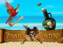 Pirates of Fortune screenshot